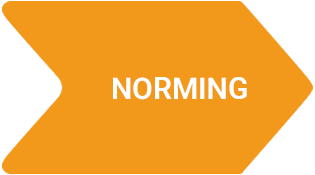 truckman-arrows-norming